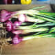 Shallots.