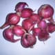 a-list-of-philippine-root-crops