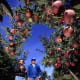 red-apple-benefits-the-health-benefits-of-eating-a-red-apple