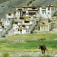 Lingshed gompa, Zanskar/Ladakh.