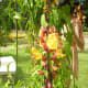 "Garden of Eden" flowers