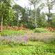 Beautiful "Garden of Eden."