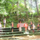 Local dancers performing their traditional dance for the tourists.