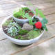 Here's the finished fairy garden. I added a stone, some hen-and-chicks and some moss to the lower section.