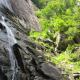 chimney-rock-state-park