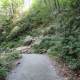 chimney-rock-state-park
