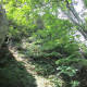 chimney-rock-state-park
