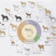 the-domestication-of-the-dog-fox-cattle-and-sheep