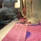 With the needle still down, lift the foot and turn the material to continue sewing.
