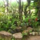 why-shift-to-planting-ornamental-plants