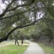Walking Trails Dick Nichols Park Austin TX