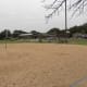 Sand Volleyball courts Dick Nichols Park Austin TX