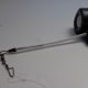waterwolfcamera