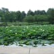 how-the-first-doctor-in-columbus-ohio-founded-the-first-city-park