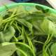 Kangkong Leaves