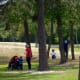mary-jo-peckham-park-in-katy-texas-bird-sightings-and-more