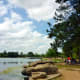 mary-jo-peckham-park-in-katy-texas-bird-sightings-and-more