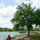 mary-jo-peckham-park-in-katy-texas-bird-sightings-and-more