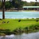 mary-jo-peckham-park-in-katy-texas-bird-sightings-and-more