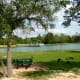 mary-jo-peckham-park-in-katy-texas-bird-sightings-and-more