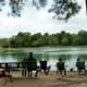 mary-jo-peckham-park-in-katy-texas-bird-sightings-and-more