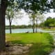 mary-jo-peckham-park-in-katy-texas-bird-sightings-and-more