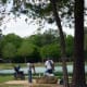 mary-jo-peckham-park-in-katy-texas-bird-sightings-and-more