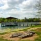 mary-jo-peckham-park-in-katy-texas-bird-sightings-and-more