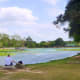 mary-jo-peckham-park-in-katy-texas-bird-sightings-and-more