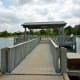 mary-jo-peckham-park-in-katy-texas-bird-sightings-and-more