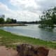 mary-jo-peckham-park-in-katy-texas-bird-sightings-and-more