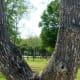 mary-jo-peckham-park-in-katy-texas-bird-sightings-and-more