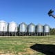 This row of bins was erected just inside a well-established windbreak, which flanks it on the west. There is room to run trucks, as well as room for a harvest crew to park RVs and equipment.