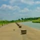 Portion of Arthur Storey Park running along Brays Bayou