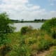 Views while walking around the lake