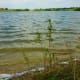 Lapping waters of the lake