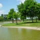 Park view