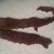 a_review_of_tong_jerky