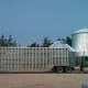 A truck with a livestock trailer made a handy wind block while this bin was under construction.