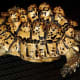 Leopard Tortoise