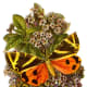 Butterfly clip art pictures: Orange, yellow and black butterfly clip art
