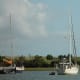 Sailboats at anchor in Taylor's Creek.