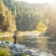 fly fishing in the Sierra Nevadas