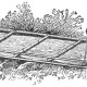 Drawing of Toboggan