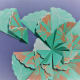 Fold smaller circle into fours to find the center. Glue the folded wedges onto the back.