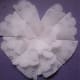 Use a circle doily punch and cut vellum rosette into a heart shape for Valentine's Day.