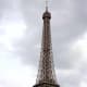 The Eiffel Tower rising above the treetops - a good illustration of the immense height of the building; once the world's tallest
