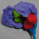 Adding the cerebral cortex
