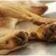 french-reunion-island-still-using-dogs-and-cats-as-shark-bait