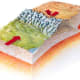 Convergent boundary